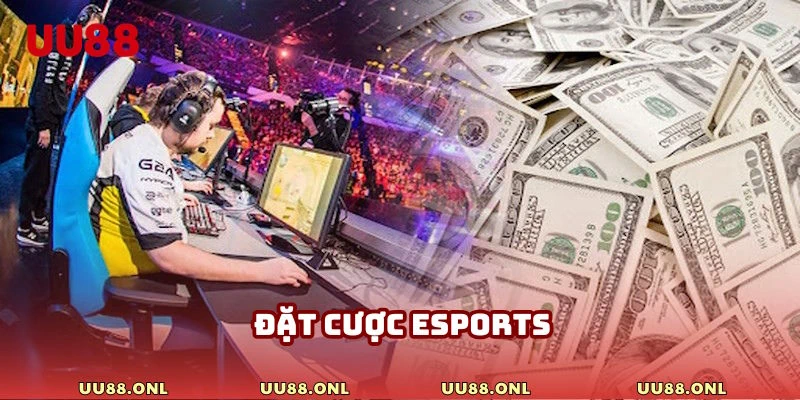 đặt cược Esports