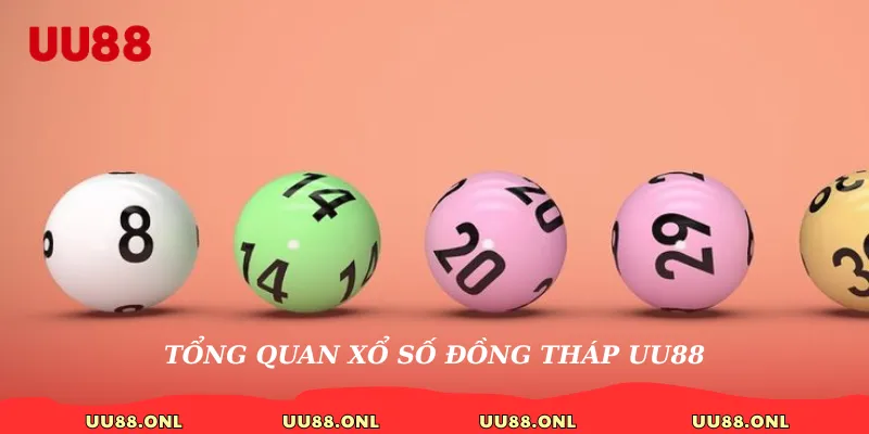 Tổng quan xổ số Đồng Tháp uu88